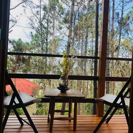 Hotel Casa De Arbol, Rancho Tierra Alta Jarabacoa Zewnętrze zdjęcie