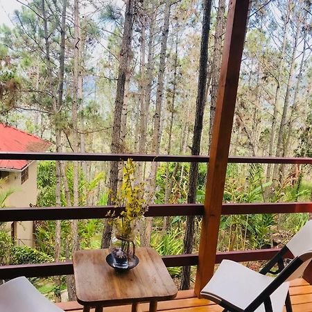 Hotel Casa De Arbol, Rancho Tierra Alta Jarabacoa Zewnętrze zdjęcie