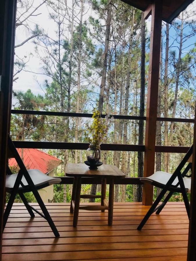 Hotel Casa De Arbol, Rancho Tierra Alta Jarabacoa Zewnętrze zdjęcie