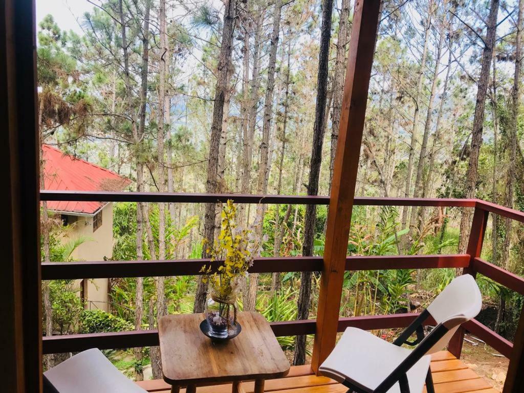 Hotel Casa De Arbol, Rancho Tierra Alta Jarabacoa Zewnętrze zdjęcie