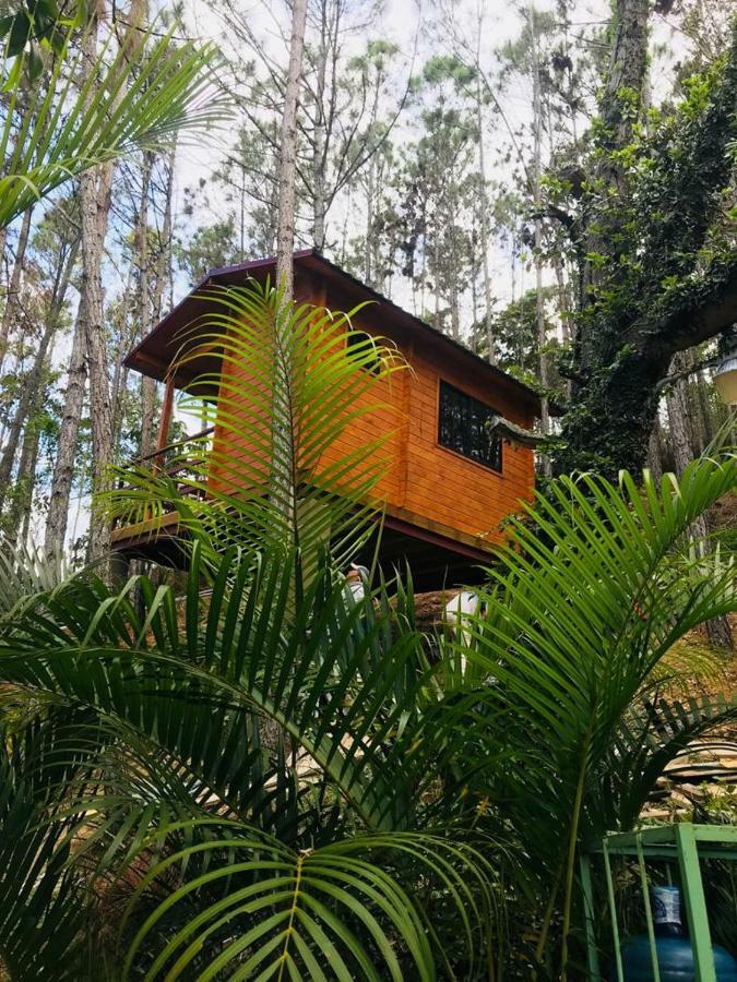 Hotel Casa De Arbol, Rancho Tierra Alta Jarabacoa Zewnętrze zdjęcie